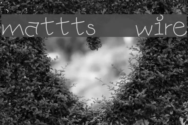 mattts    wire Example 3