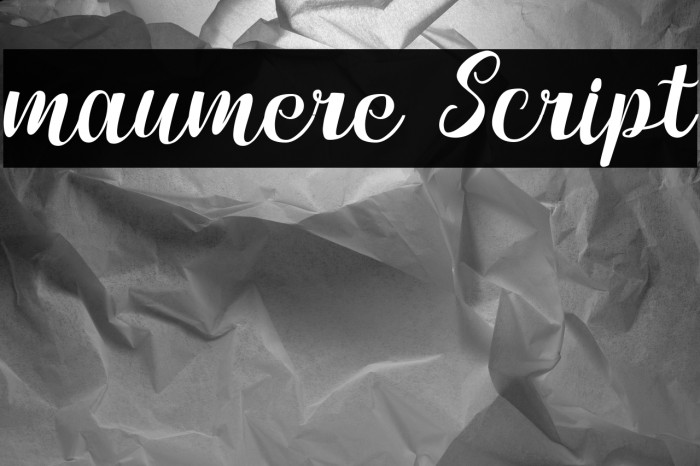 maumere Script Example 3