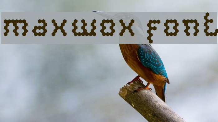 maxwox font Font examples