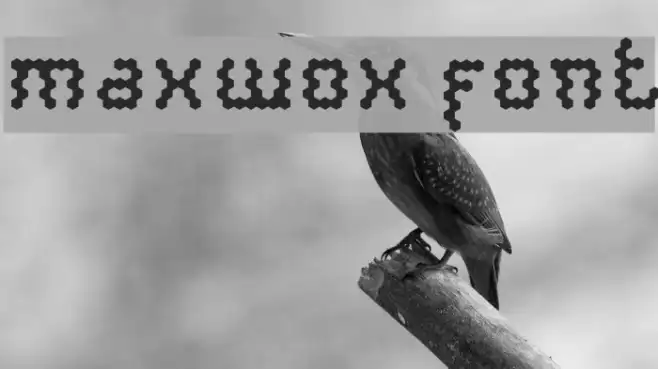 maxwox font Example 3