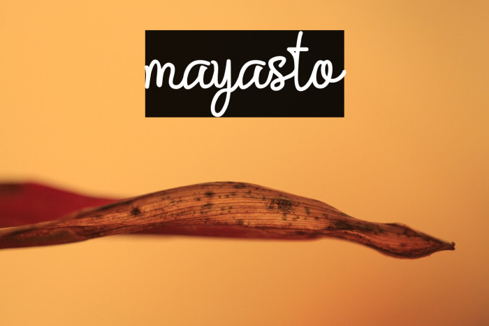 mayasto Example 1