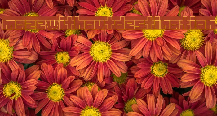 mazewithoutdestination Font examples