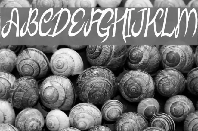 MB-ElvenType Font examples