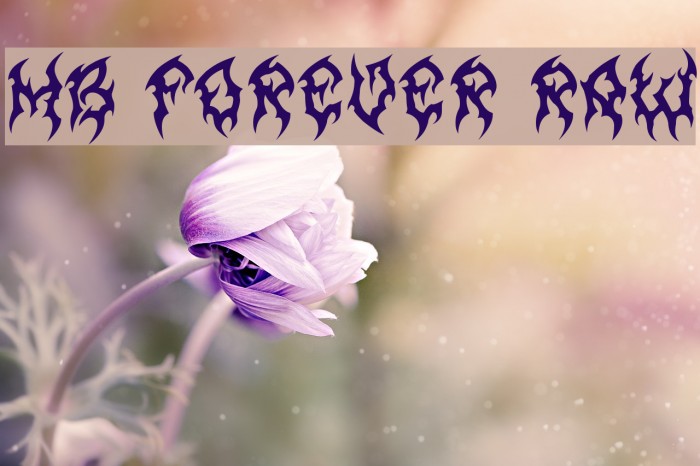 MB Forever Raw Font examples