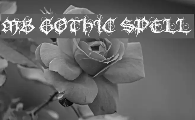 MB Gothic Spell Example 1
