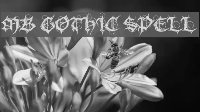 MB Gothic Spell Example 3