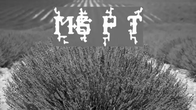 MB Poisoned Type Font examples