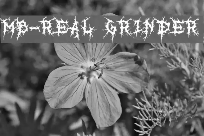 MB-Real Grinder Font examples
