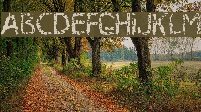 MB-RustyIron Font examples