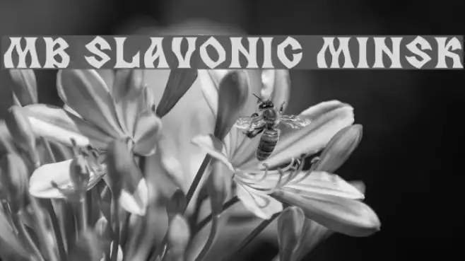 MB Slavonic Minsk Example 2