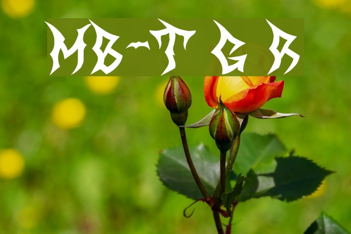 MB-The Great Reaper Font examples
