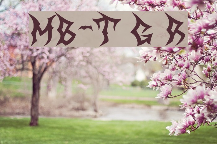 MB-The Great Reaper Font examples