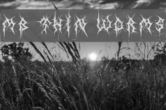 MB Thin Worms Font examples