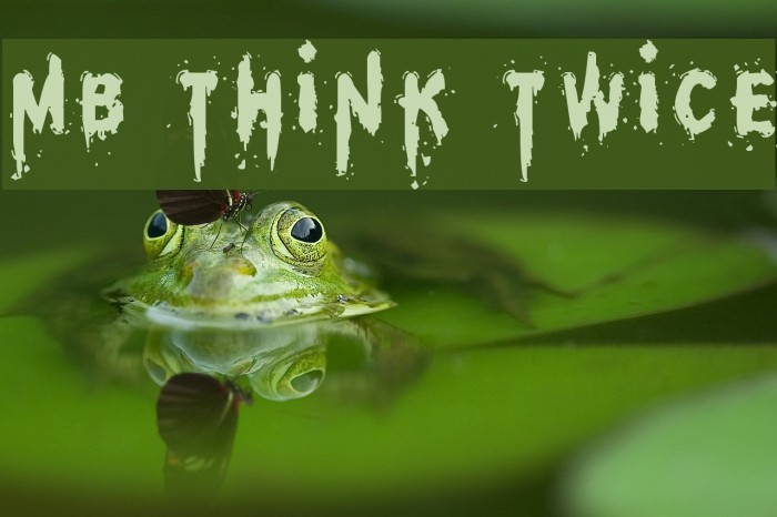MB Think Twice Font examples