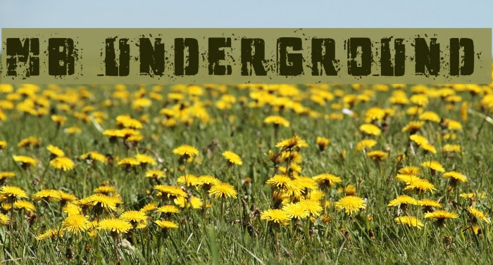 MB Underground Font examples