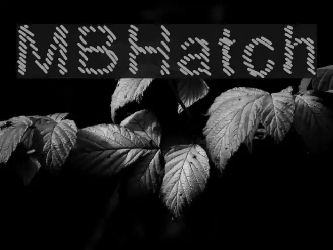 MBHatch Font examples