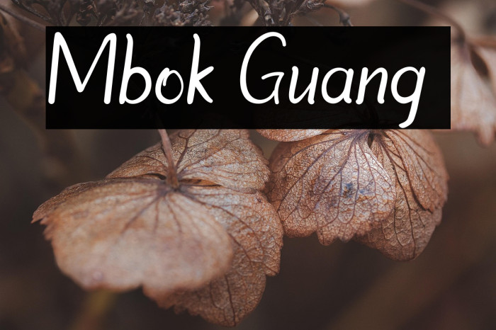 Mbok Guang 2 Example 2