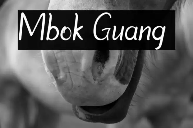 Mbok Guang 2 Font examples