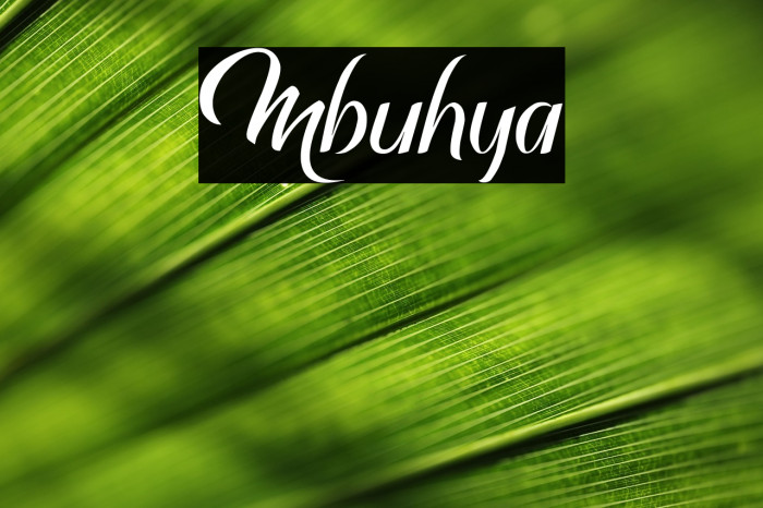 Mbuhya Example 1