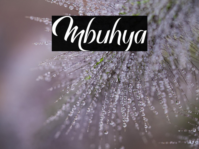 Mbuhya Example 3