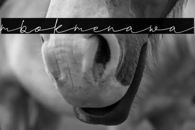 mbokmenawa Font examples