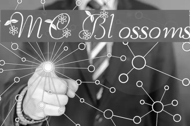 MC Blossoms Font examples