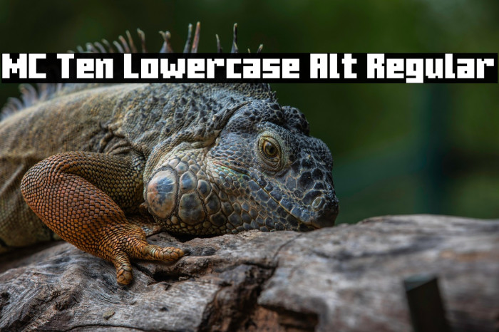 MC Ten Lowercase Alt Regular Example 1