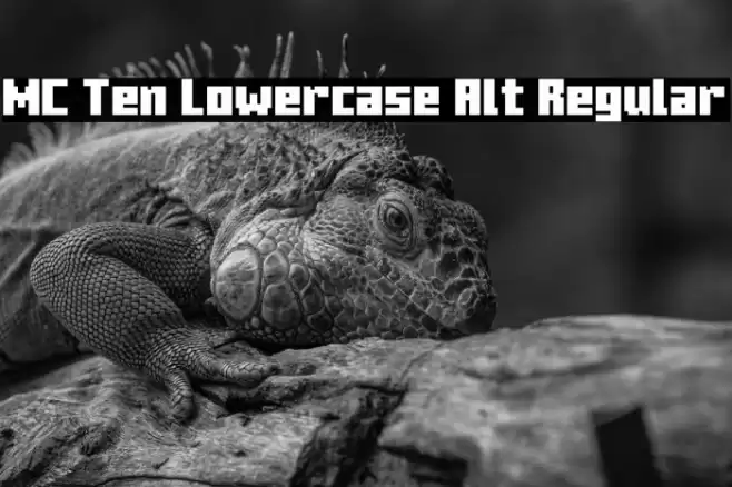 MC Ten Lowercase Alt Regular خط examples