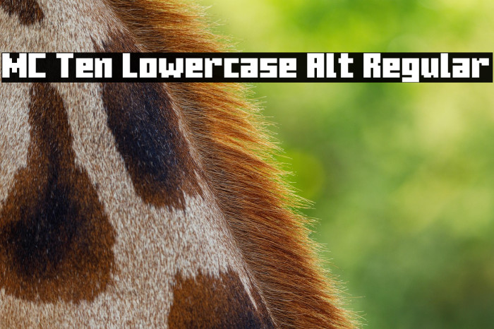MC Ten Lowercase Alt Regular Example 2
