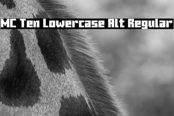 MC Ten Lowercase Alt Regular خط examples