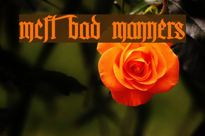 MCF bad manners Font examples
