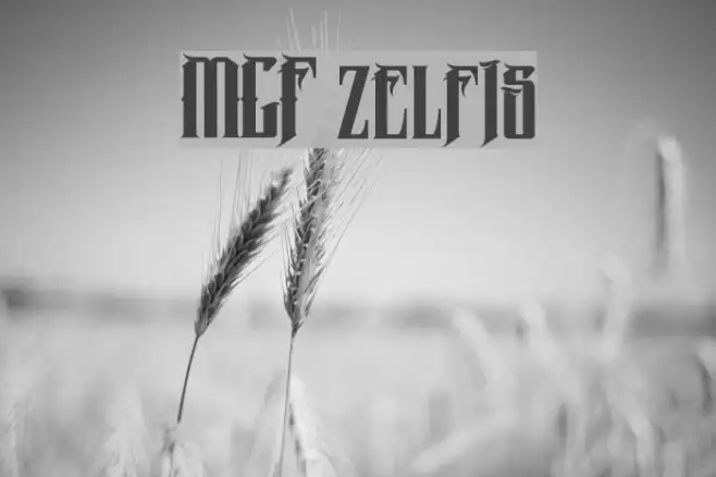 MCF zelfis Example 3