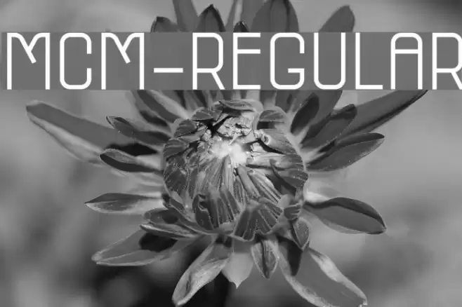 MCM-Regular Font examples