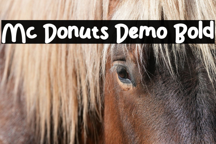 Mc Donuts Demo Bold Example 3