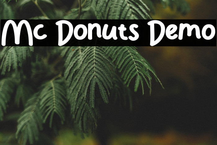 Mc Donuts Demo Example 1