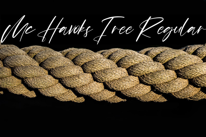 Mc Havoks Free Regular Example 1