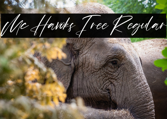 Mc Havoks Free Regular Example 3