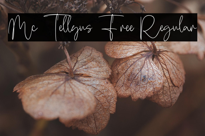 Mc Tellyus Free Regular Example 3