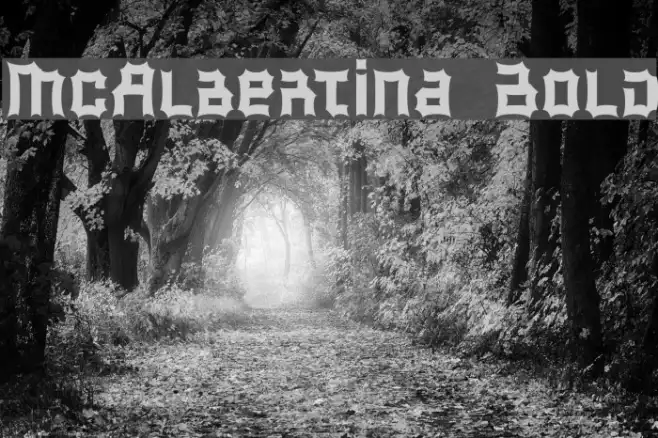 McAlbertina Bold Example 1