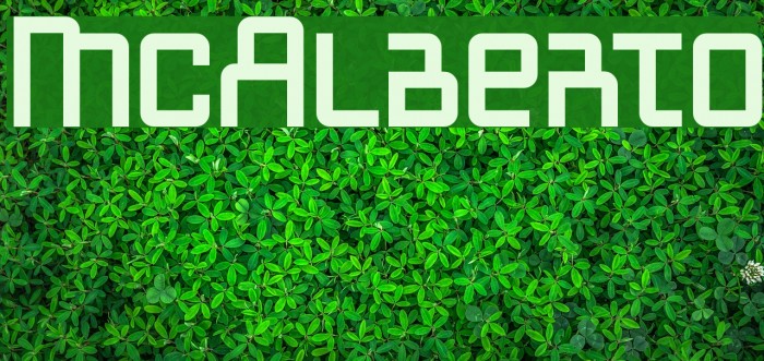 McAlberto Font examples