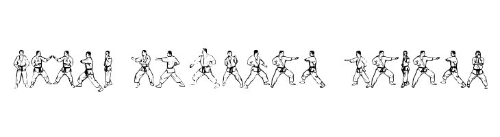 McCoy Dingbat Karate फ़ॉन्ट