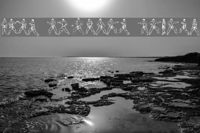 McCoy Dingbat Karate Font examples