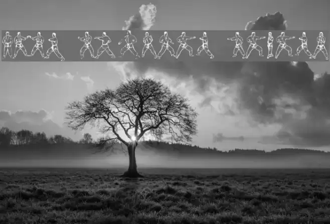 McCoy Dingbat Karate Font examples