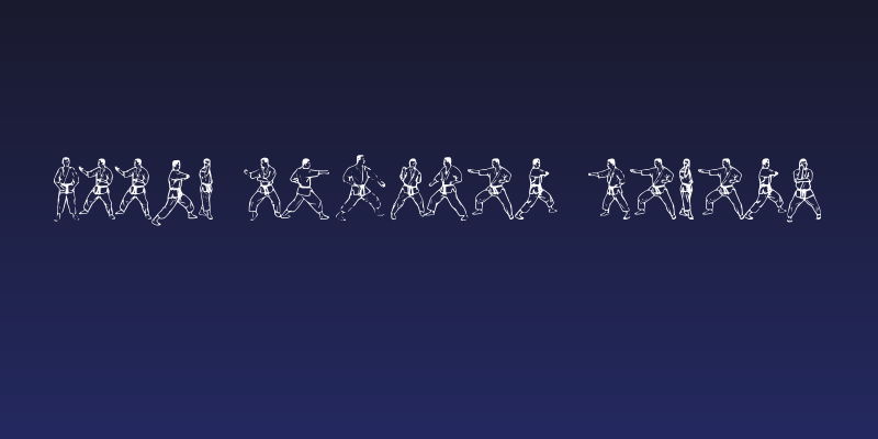 McCoy Dingbat Karate Social Header