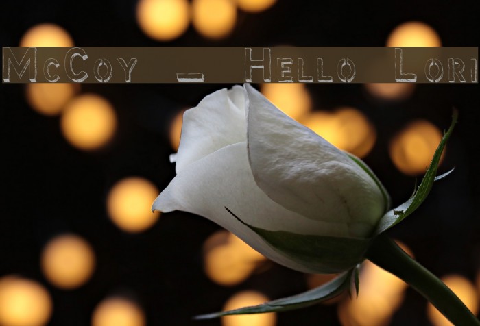McCoy - Hello Lori Font examples