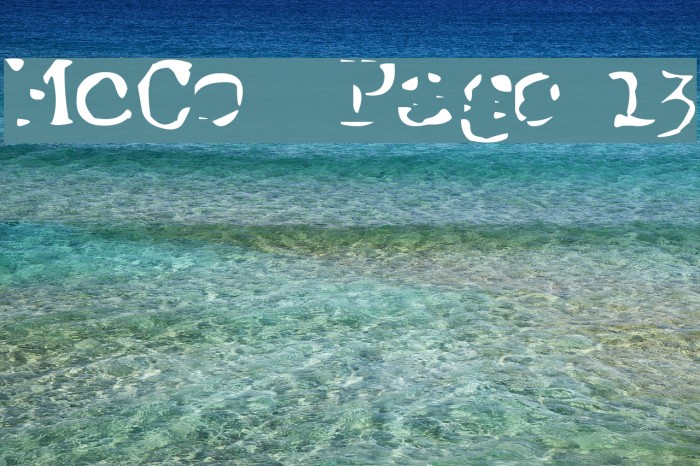 McCoy Page 13 Schriftart examples