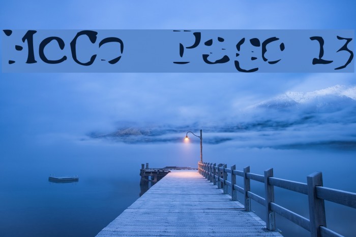 McCoy Page 13 Schriftart examples