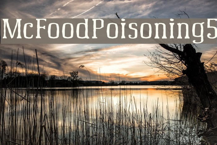 McFoodPoisoning5 Font examples