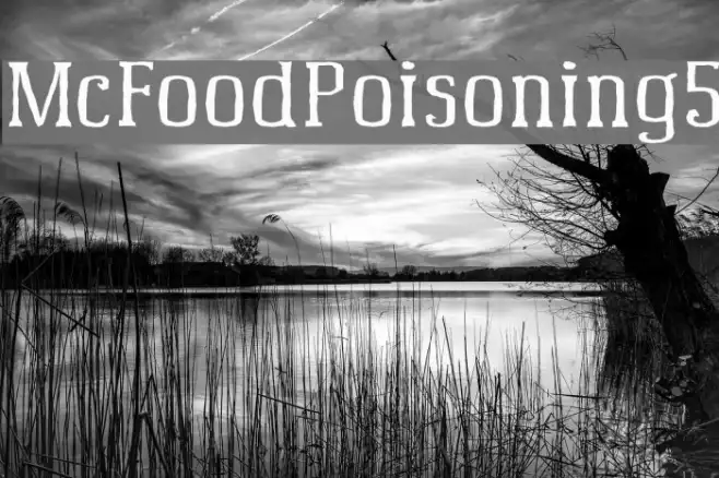 McFoodPoisoning5 Example 3