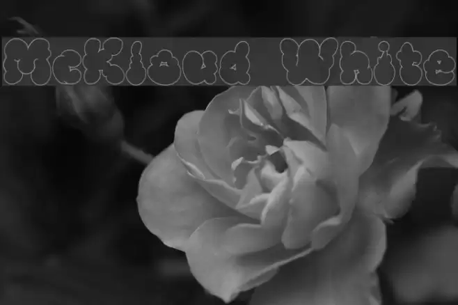 McKloud White Font examples